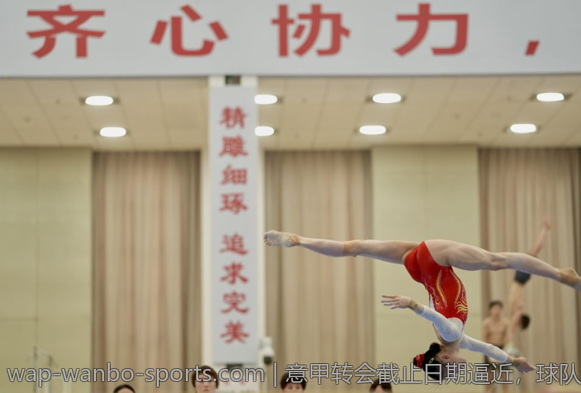 意甲转会截止日期逼近，球队引援策略迎来新变化