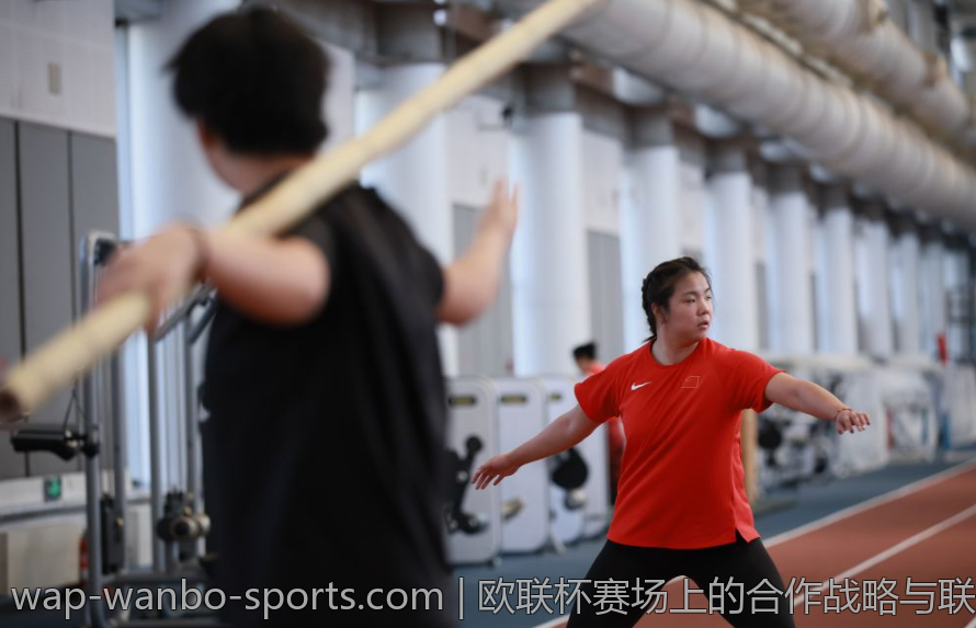 欧联杯赛场上的合作战略与联盟建设